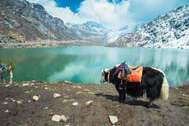 sikkim